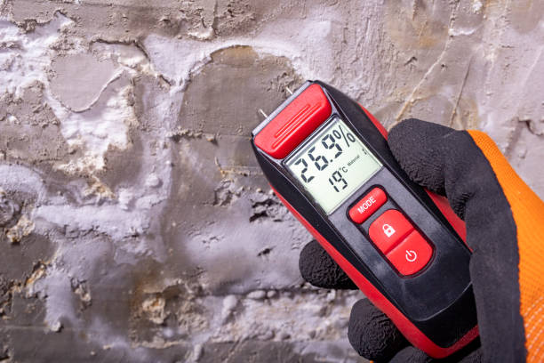 Best Residential Mold Remediation in Tyhee, ID