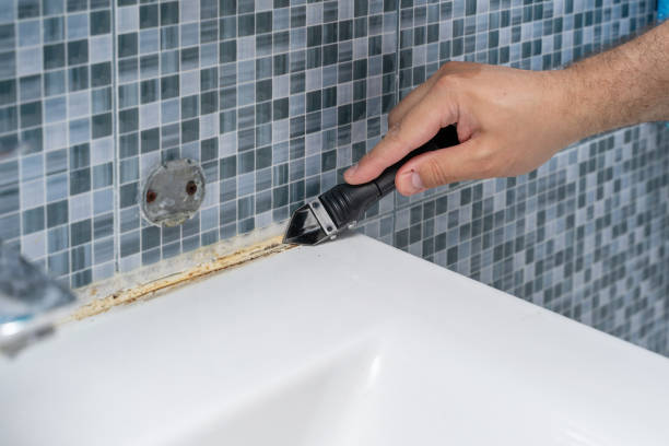 Best Preventive Mold Services in Tyhee, ID