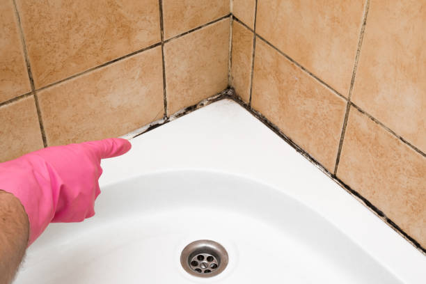 Best Bathroom Mold Remediation in Tyhee, ID